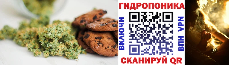 Canna-Cookies марихуана Нытва