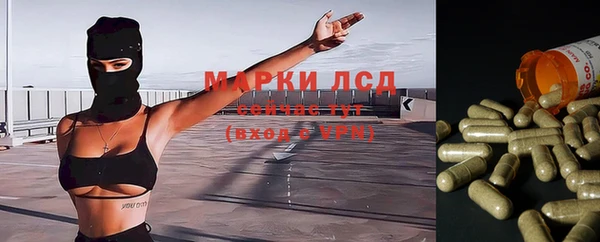скорость Алзамай