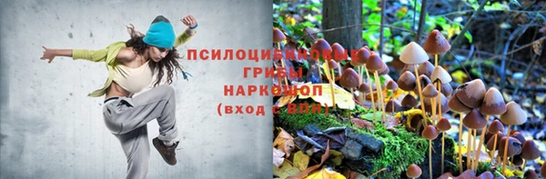 скорость Алзамай